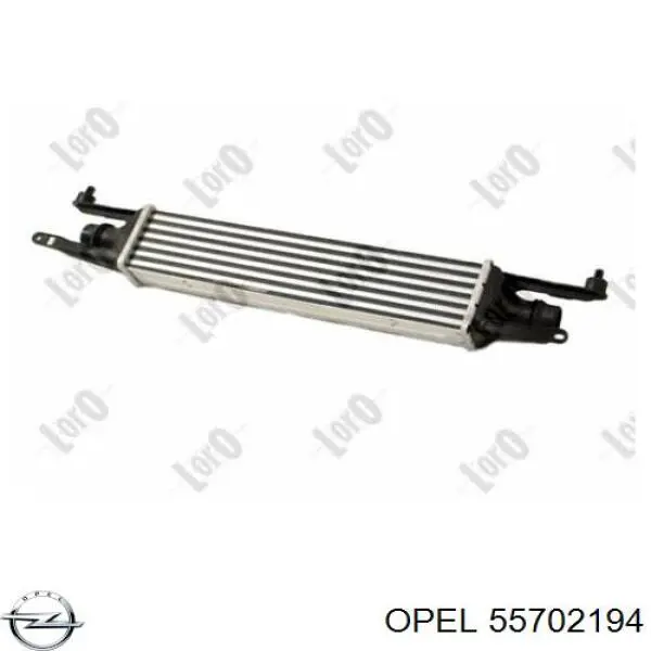 55702194 Opel intercooler