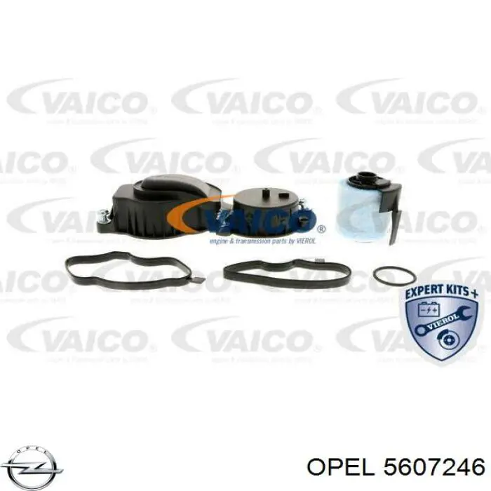 5607246 Opel válvula, ventilaciuón cárter