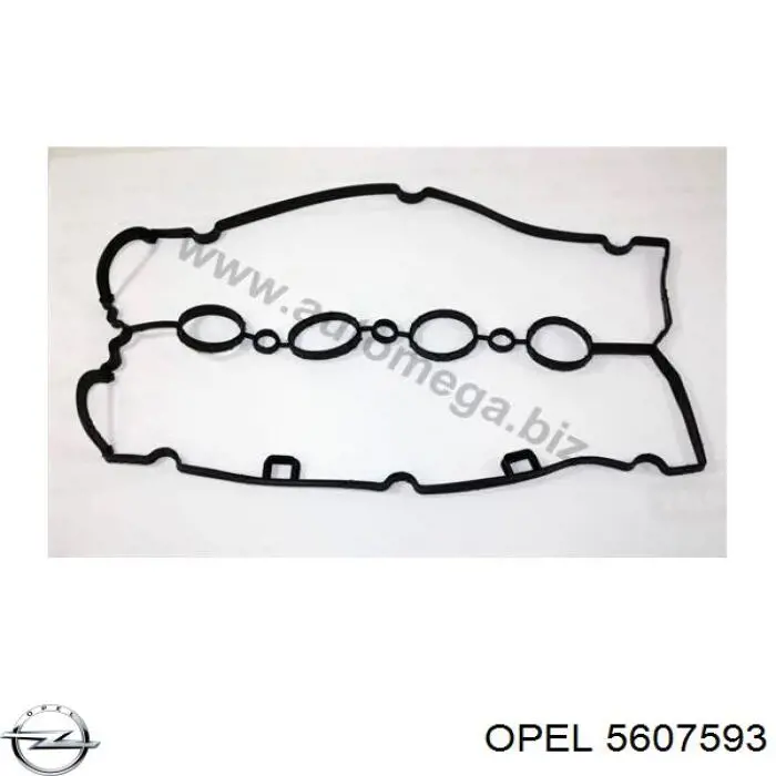 5607593 Opel junta de la tapa de válvulas del motor