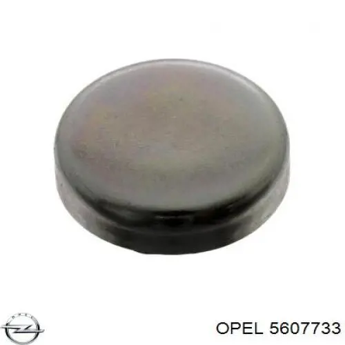 Comprar 5607733 Opel Tapon culata
