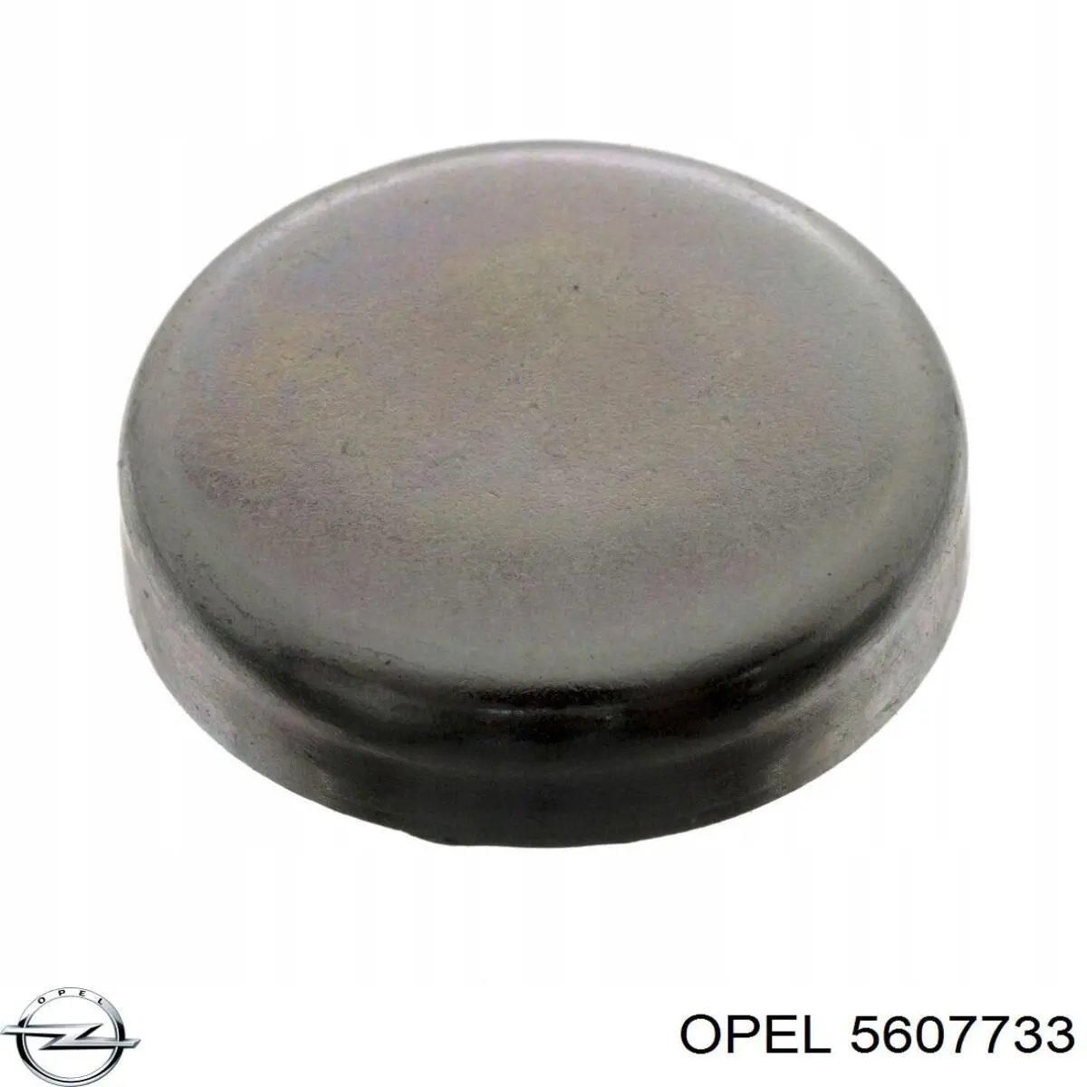 Tapa de cilindro Opel 5607733 precio, desde 0,68 EUR