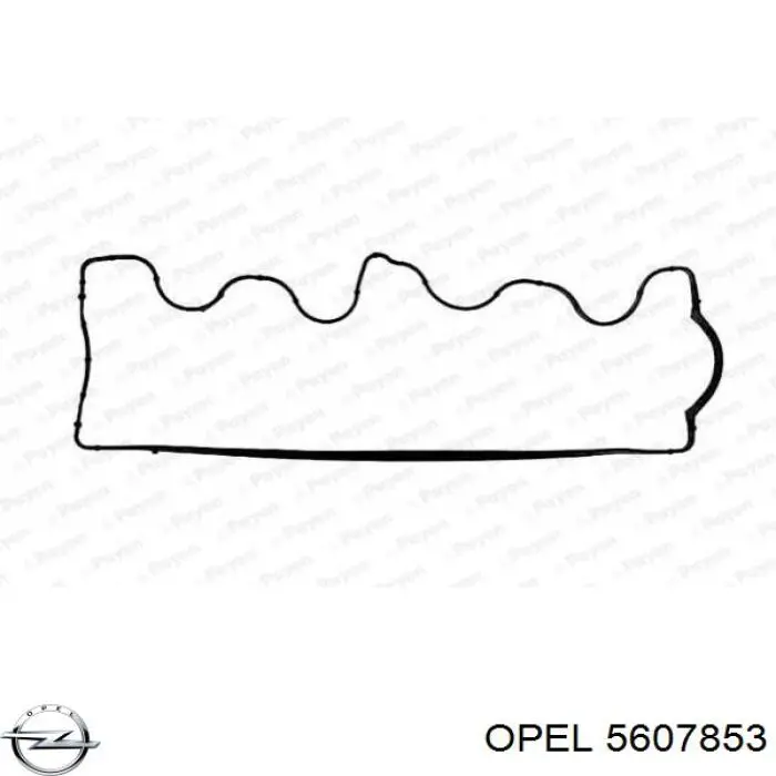 5607853 Opel junta de la tapa de válvulas del motor