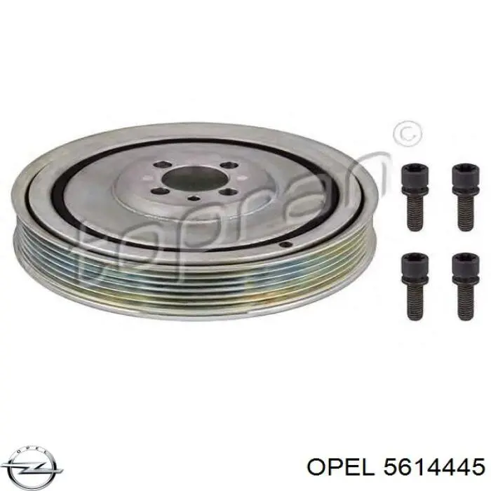 Polea del cigüeñal Opel 5614445 precio, desde 64,93 EUR