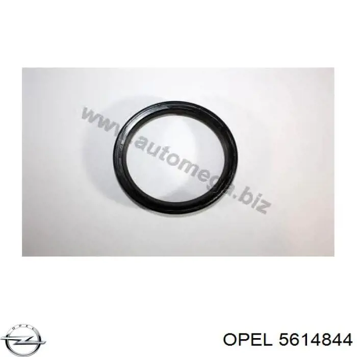 Retén del cigüeñal Opel 5614844 precio, desde 8,97 EUR