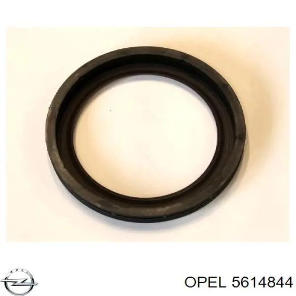 5614844 Opel anillo retén, cigüeñal