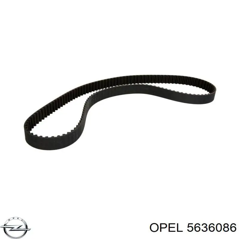 Comprar 5636086 Opel Correa distribución