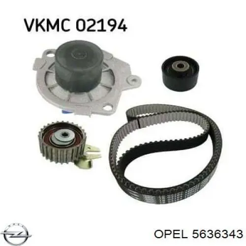 Correa de distribución Opel 5636343 precio, desde 32,64 EUR