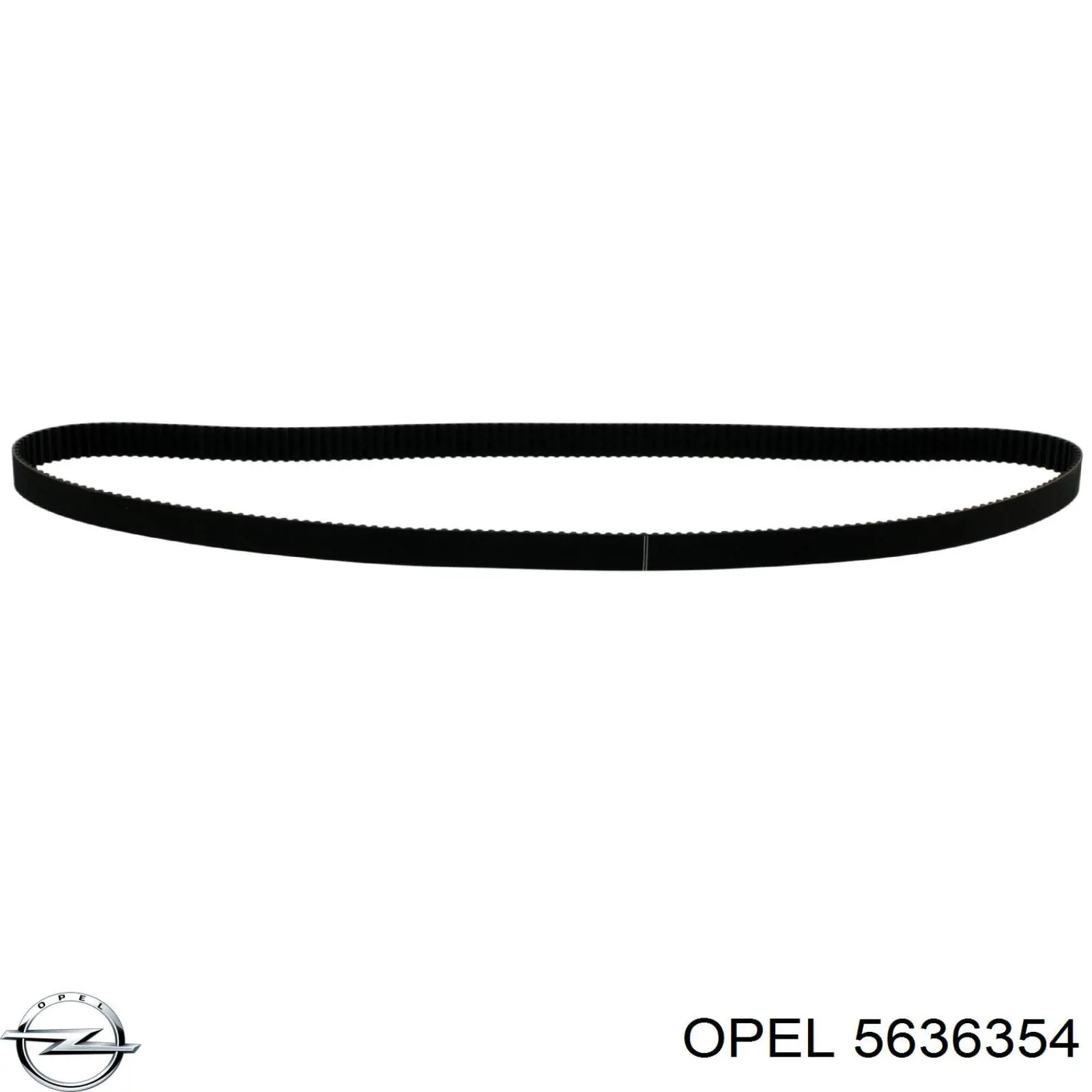 5636354 Opel correa distribución