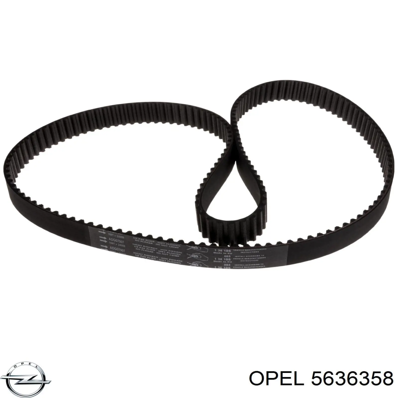 5636358 Opel correa distribución
