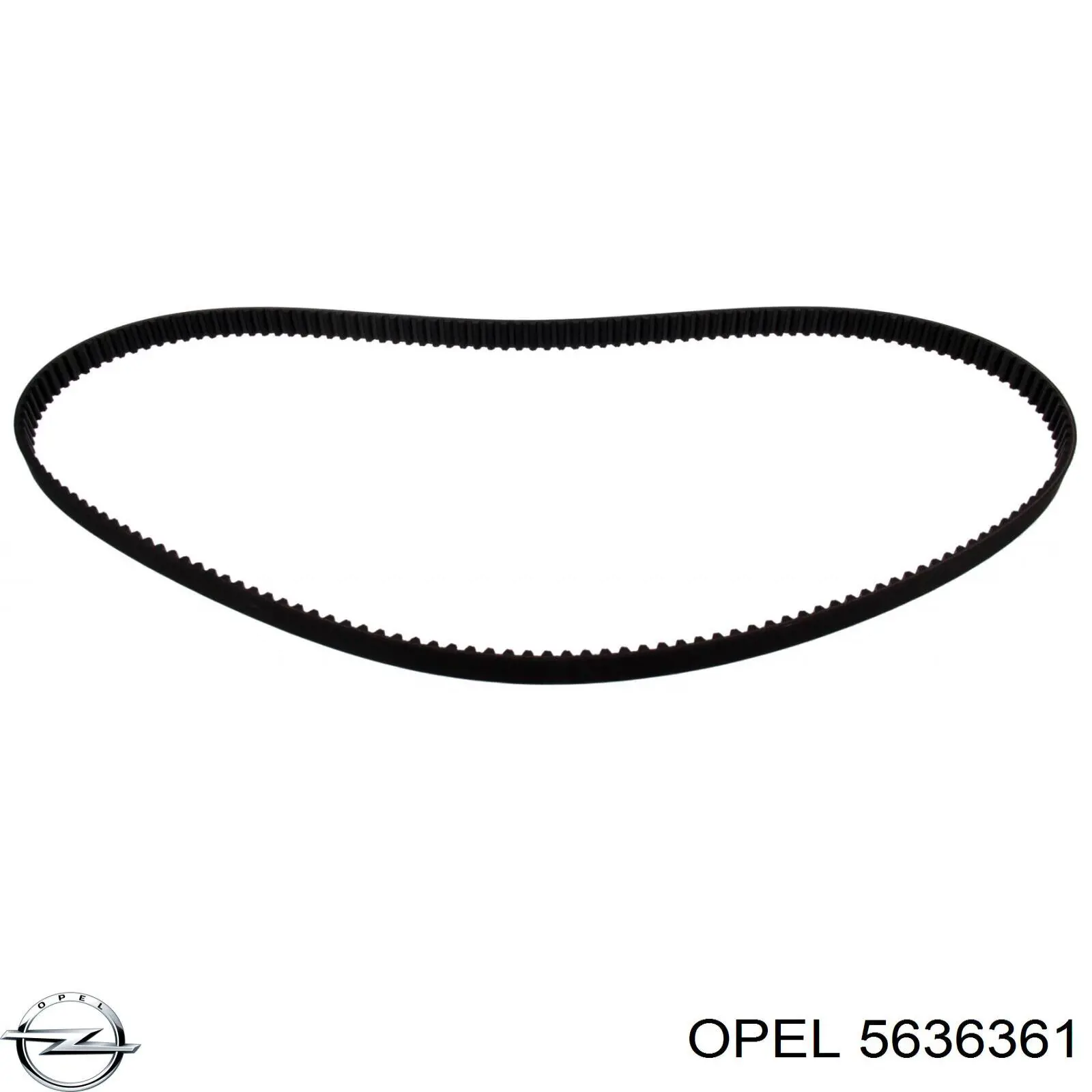 5636361 Opel correa distribucion
