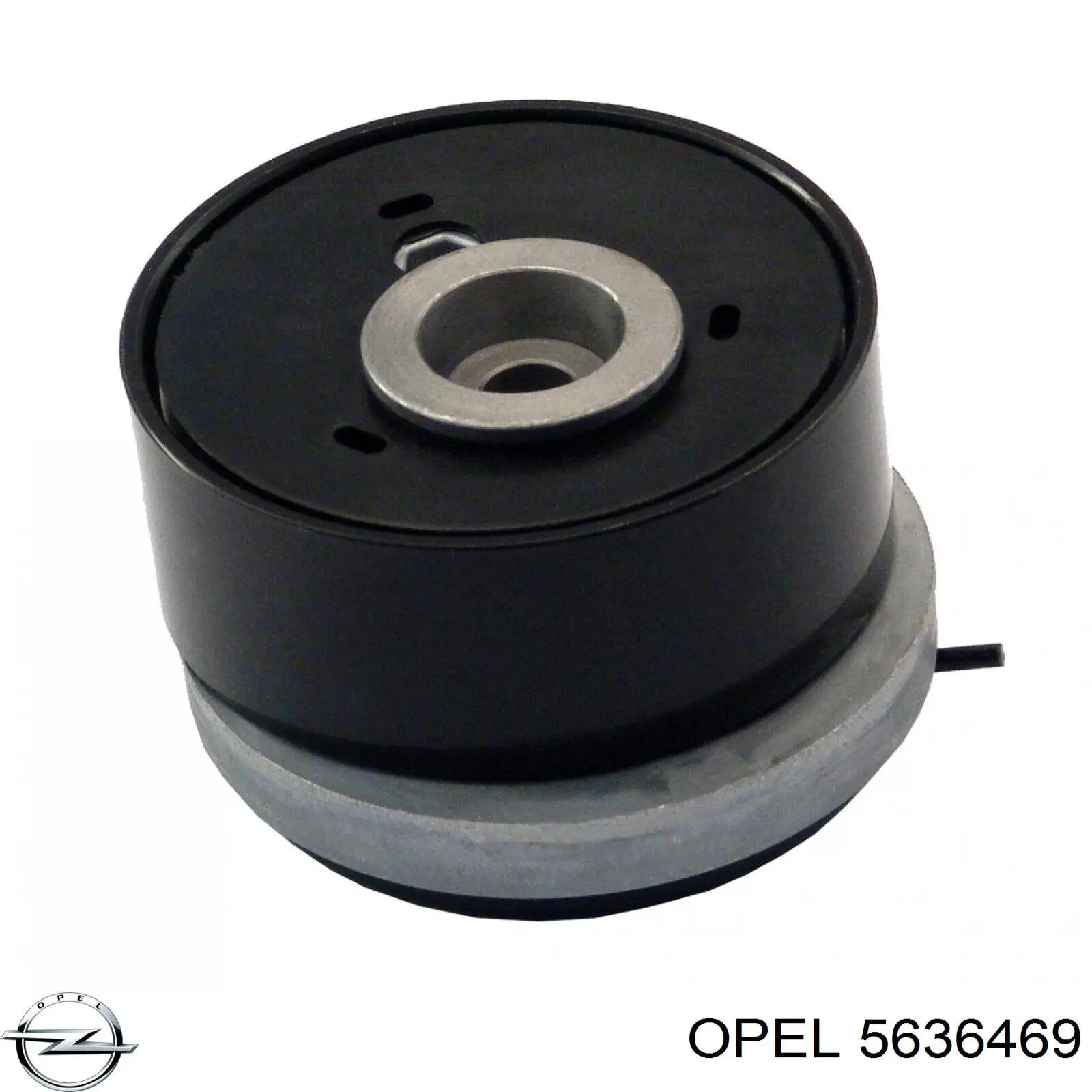 5636469 Opel rodillo, cadena de distribución