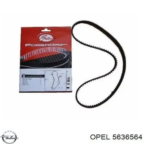 Comprar 5636564 Opel Correa distribución