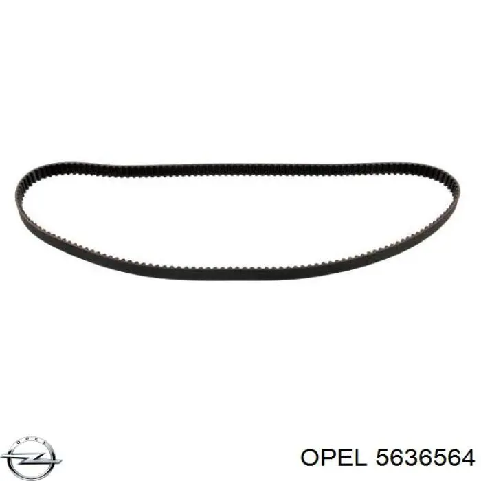 5636564 Opel correa distribucion