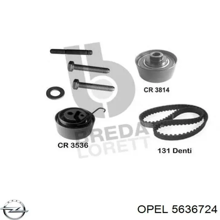 5636724 Opel tensor correa distribución