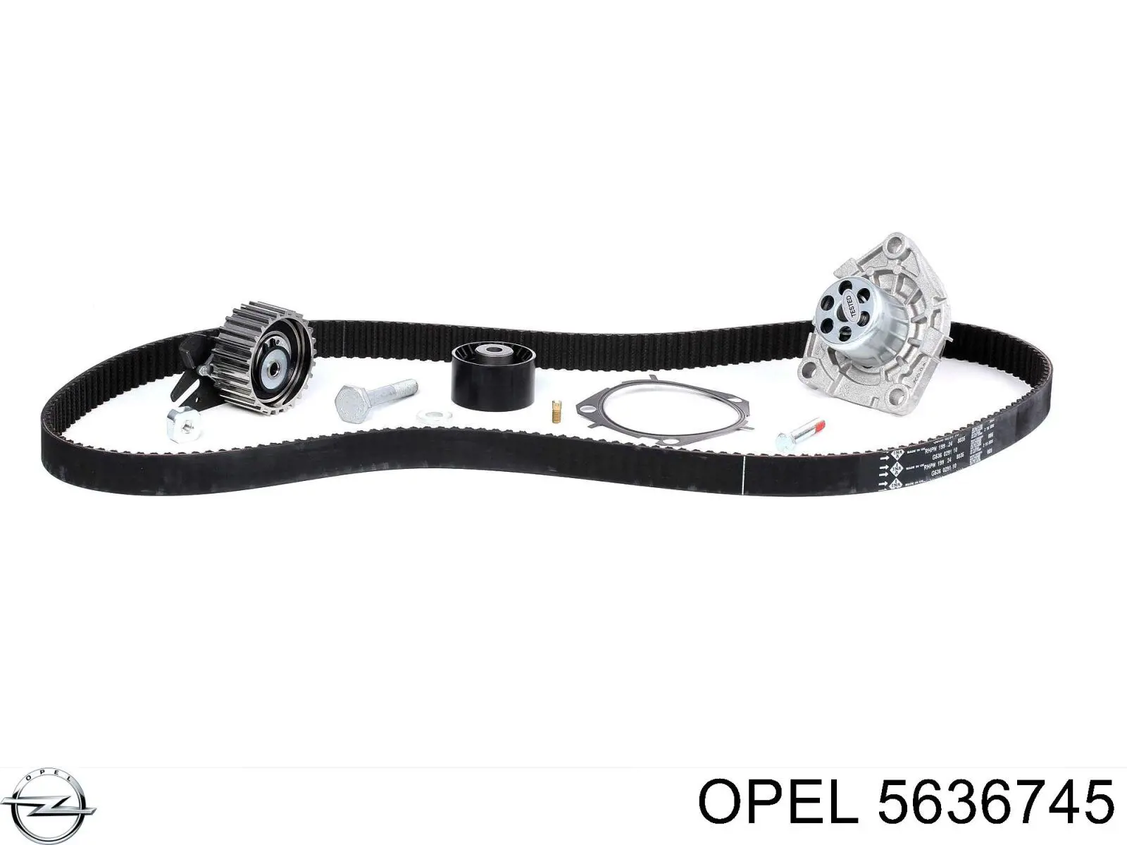 Rodillo, cadena de distribución Opel Vectra