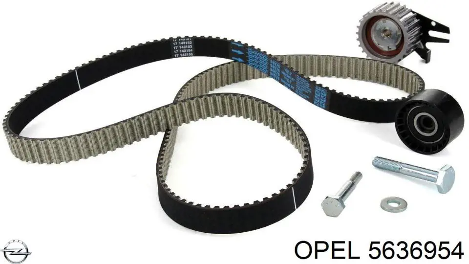 Comprar 5636954 Opel Polea correa distribución