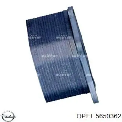 Radiador de aceite Metalcaucho 39101 precio, desde 48,33 EUR