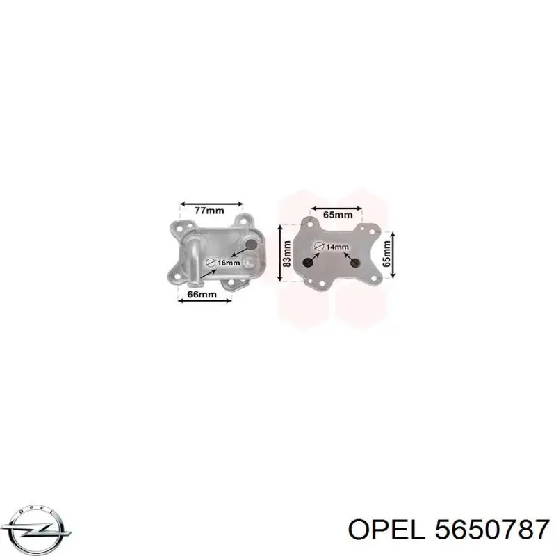 5650787 Opel radiador de aceite