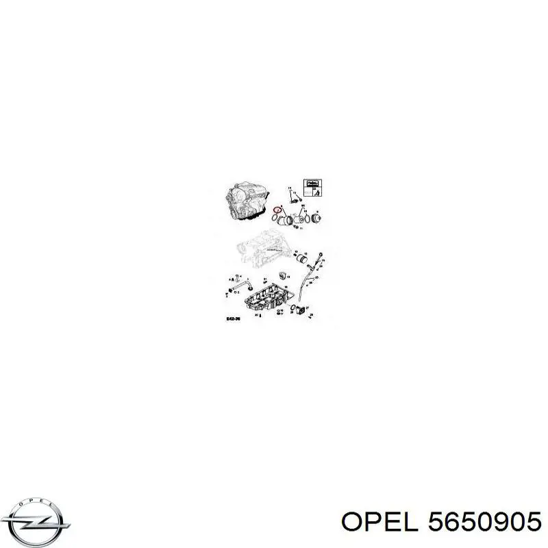 5650905 Opel junta, adaptador de filtro de aceite