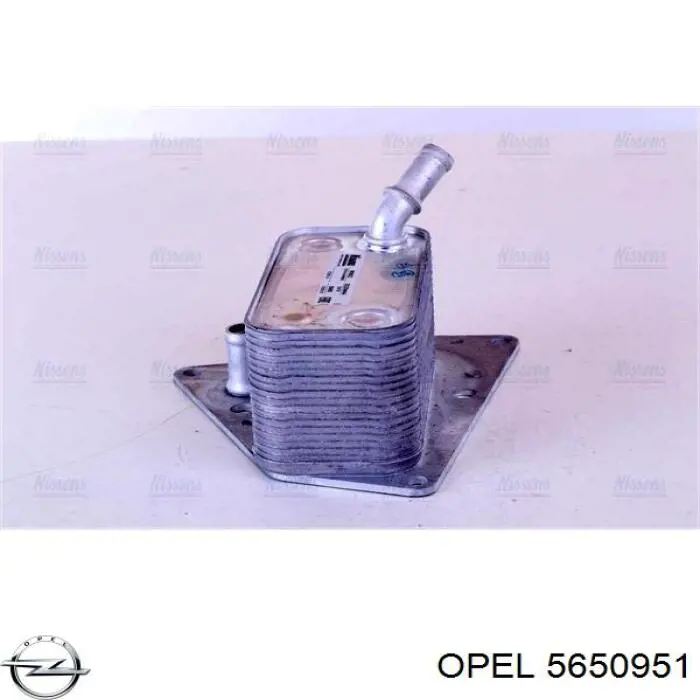5650951 Opel radiador de aceite, bajo de filtro