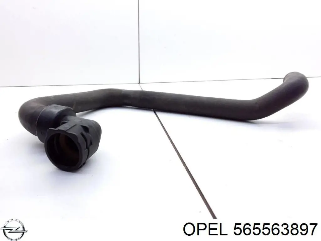 565563897 Opel