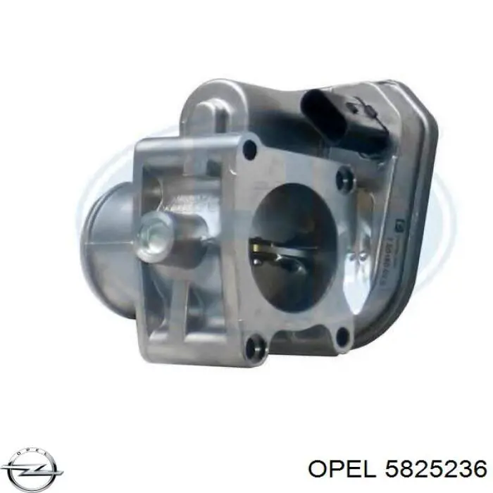 Cuerpo de aceleración completo General Motors 8973002311 precio, desde 54,00 EUR