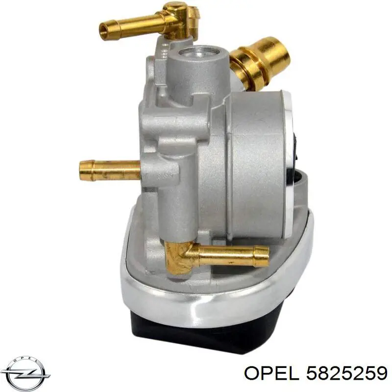 Cuerpo de mariposa 5825259 Opel