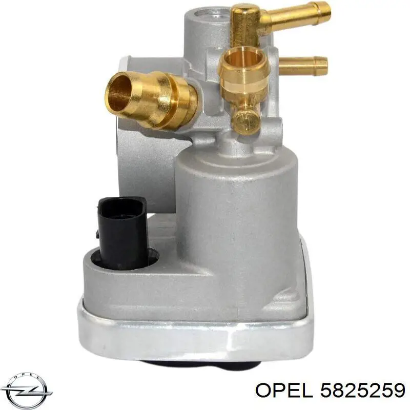 Caja de mariposa Opel 5825259