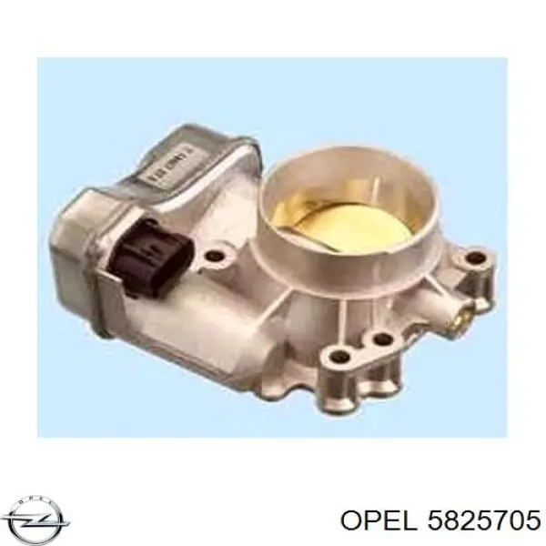 Cuerpo de aceleración completo Opel 5825705 precio, desde 269,59 EUR