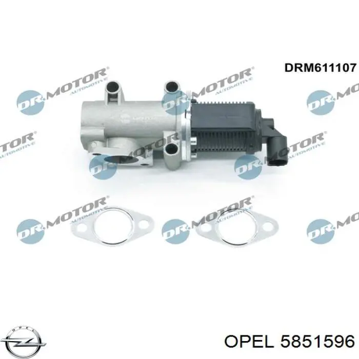 Válvula de regulación de gases Opel 5851596 precio, desde 58,97 EUR