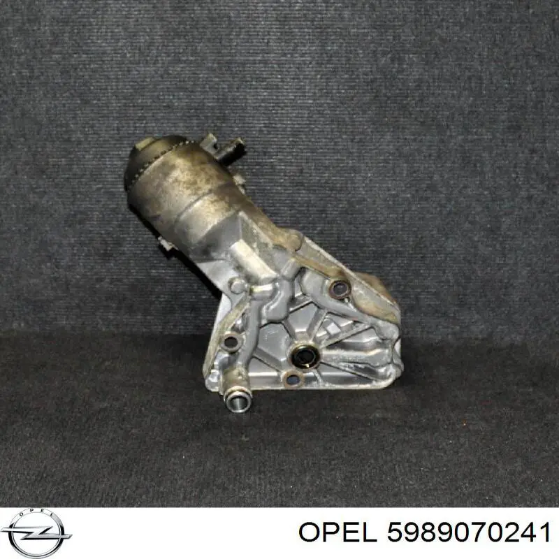 5989070241 Opel 