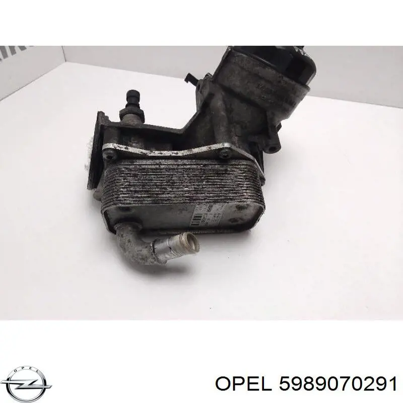 5989070291 Opel radiador de aceite, bajo de filtro