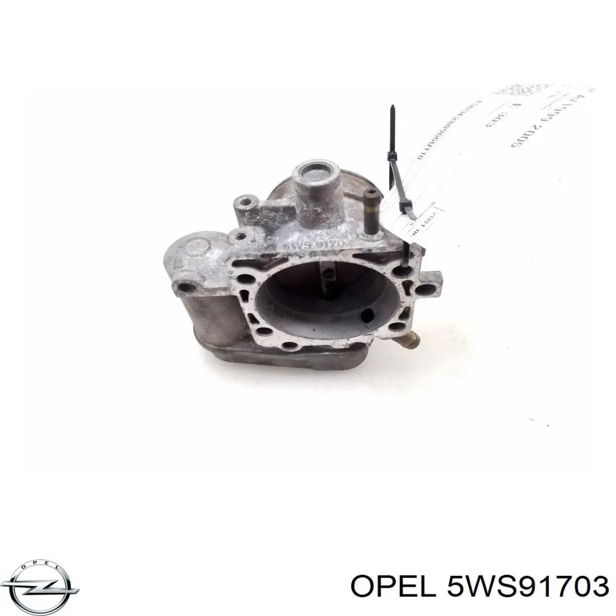 5WS91703 Opel Mariposa de admisión