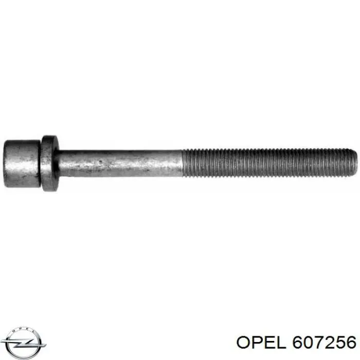 Tornillo de culata Opel 607256