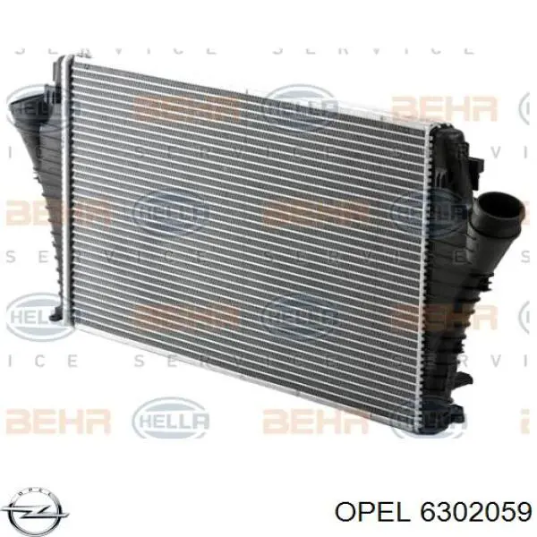 Radiador de aire de admisión Opel 6302059 precio, desde 116,05 EUR