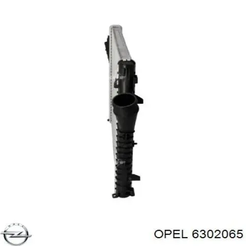 Radiador de aire de admisión Opel 6302065 precio, desde 60,98 EUR