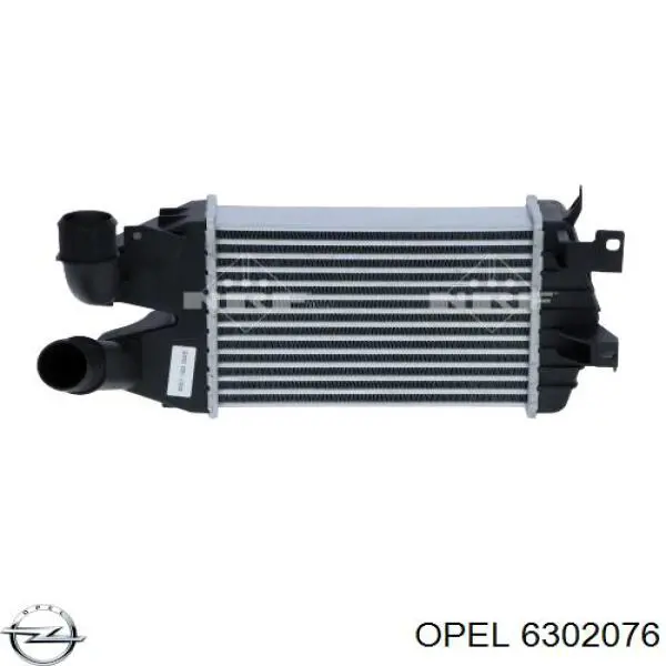 Radiador de aire de admisión Opel 6302076 precio, desde 81,72 EUR