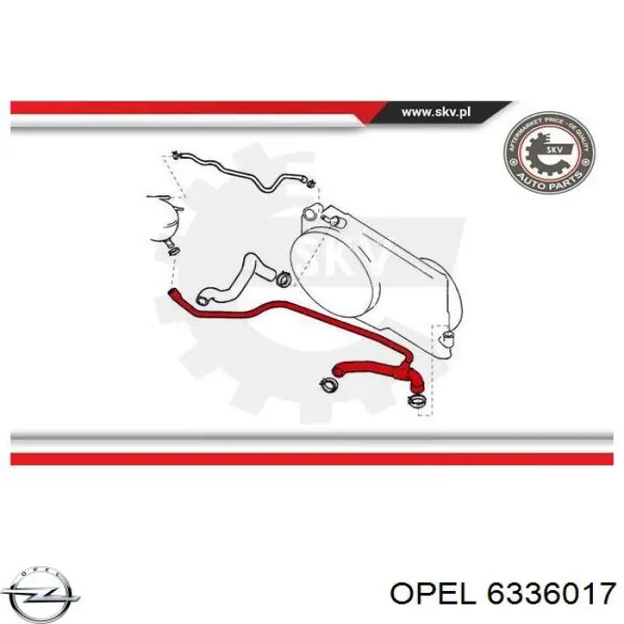 6336017 Opel manguera refrigerante para radiador inferiora