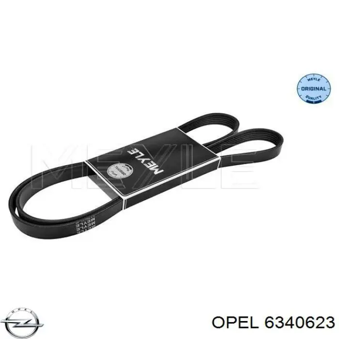 Correa trapezoidal Opel Astra 51, 52, F35, M35