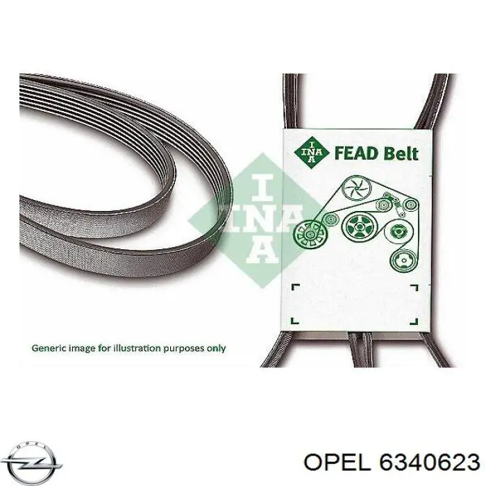 Correa trapezoidal Opel Astra 51, 52, F35, M35