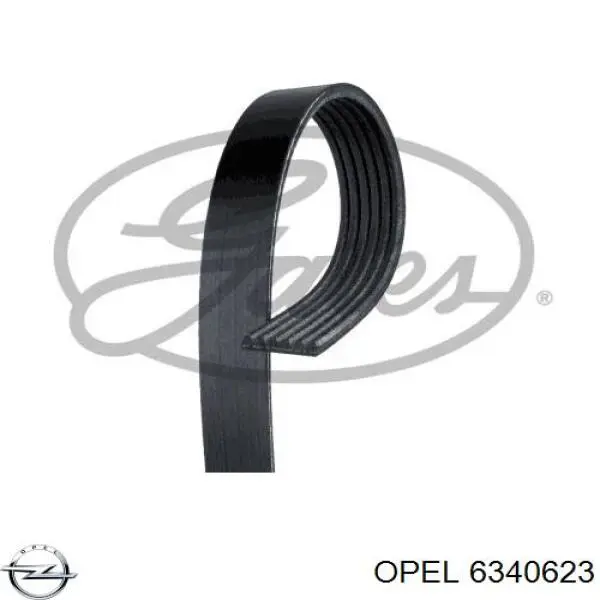 Correa trapezoidal Opel Astra 51, 52, F35, M35
