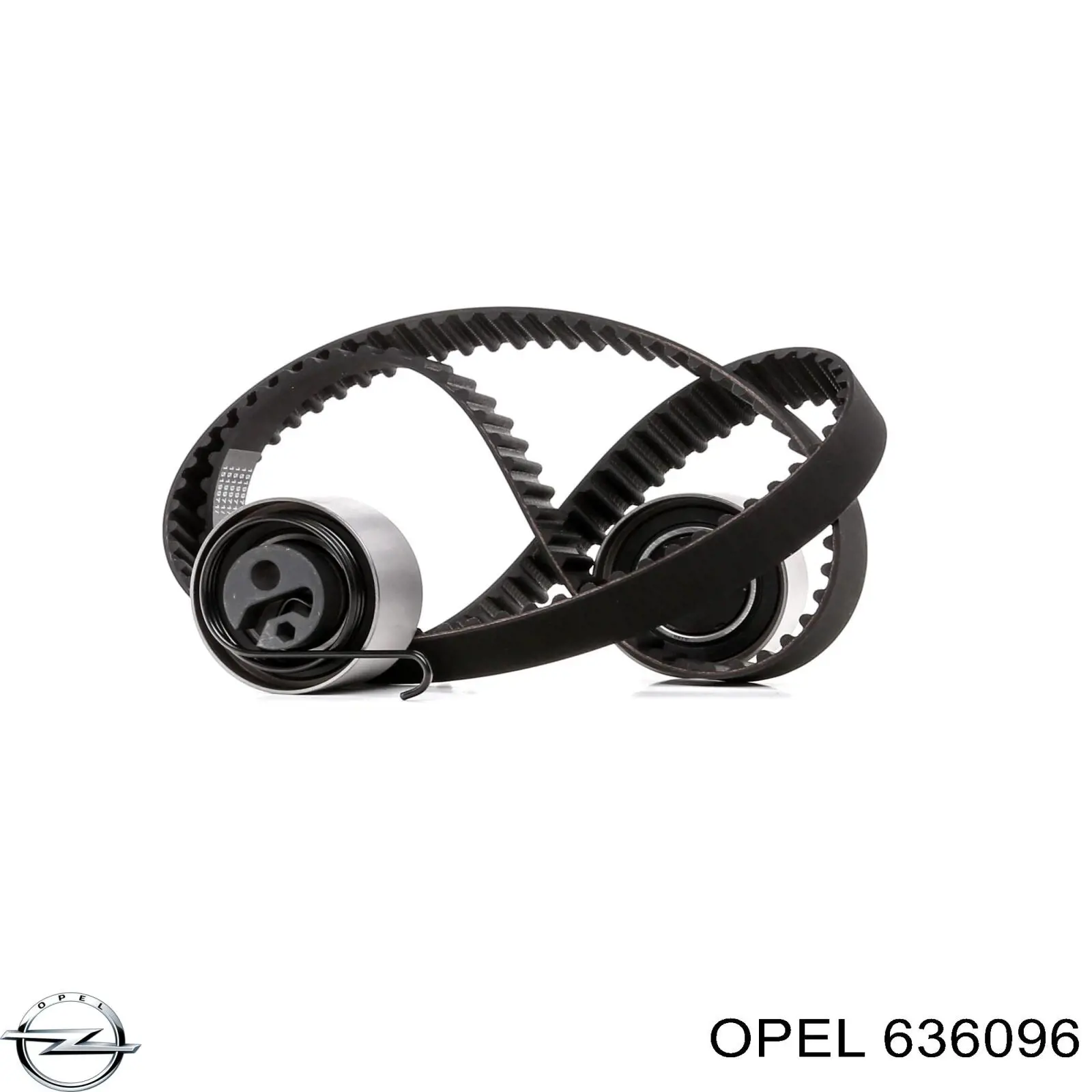 636096 Opel correa distribucion