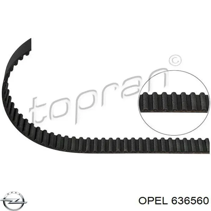 636560 Opel correa distribución