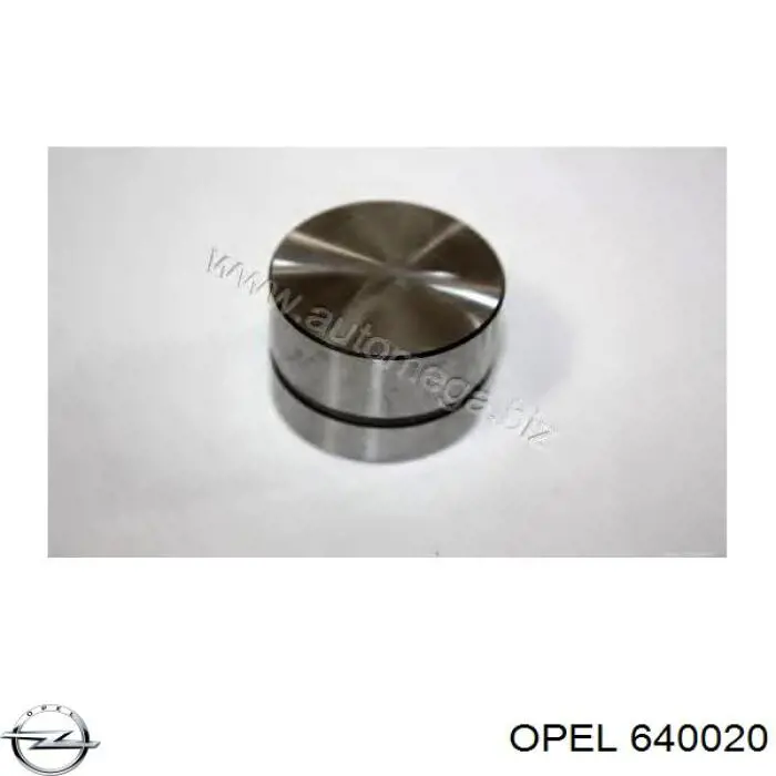 Comprar 640020 Opel Taqués hidráulicos
