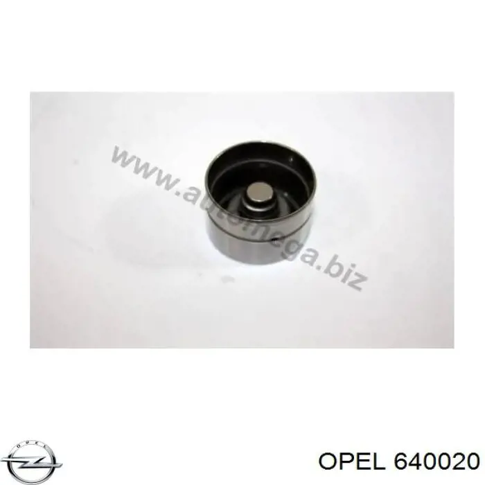 640020 Opel empujador de válvula