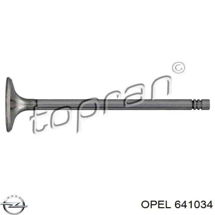 641034 Opel Válvula de admisión