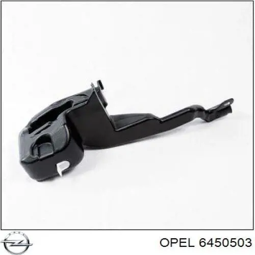 Deposito del lavaparabrisas Opel 6450503 precio, desde 37,75 EUR
