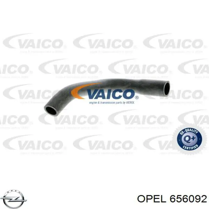 656092 Opel tubo de ventilacion del carter (separador de aceite)