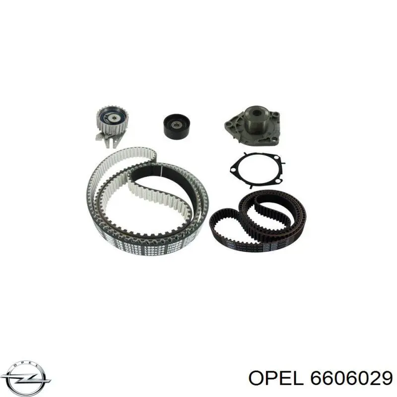 Juego de correas dentadas Opel 6606029 precio, desde 87,63 EUR