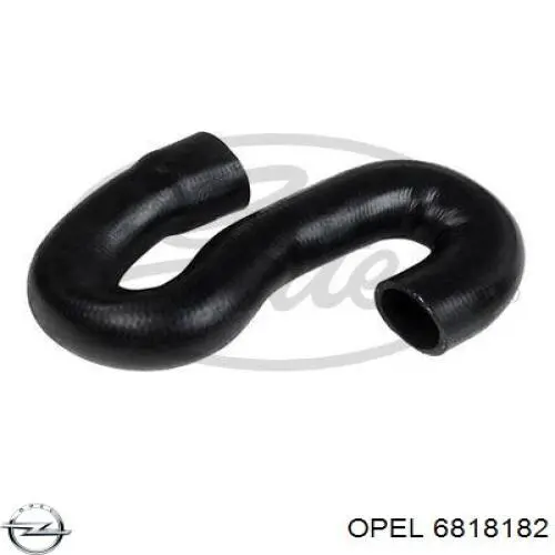 6818182 Opel tubería de radiador, tuberia flexible calefacción, inferior